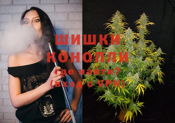 мдпв Снежинск
