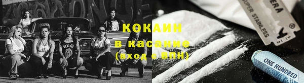 амф Сосновый Бор