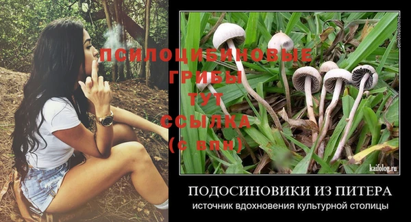 стафф Снежногорск