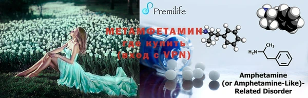 амф Сосновый Бор